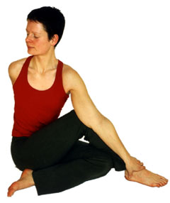 Yoga Vidya Total-Fitness Reihe